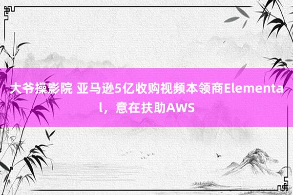 大爷操影院 亚马逊5亿收购视频本领商Elemental，意在扶助AWS