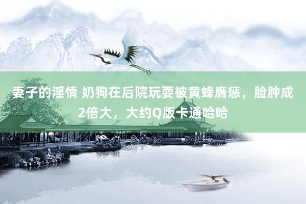 妻子的淫情 奶狗在后院玩耍被黄蜂膺惩，脸肿成2倍大，大约Q版卡通哈哈