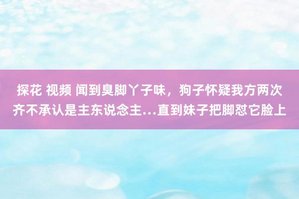 探花 视频 闻到臭脚丫子味,狗子怀疑我方两次齐不承认是主东说念主…直到妹子把脚怼它脸上
