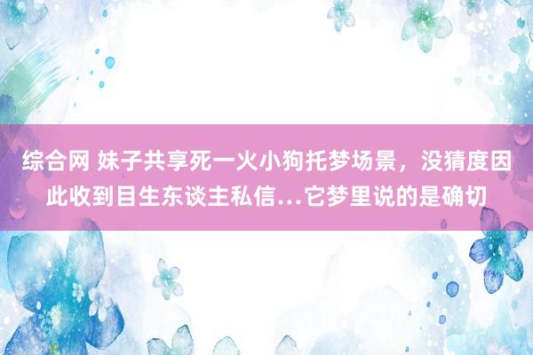 综合网 妹子共享死一火小狗托梦场景,没猜度因此收到目生东谈主私信…它梦里说的是确切