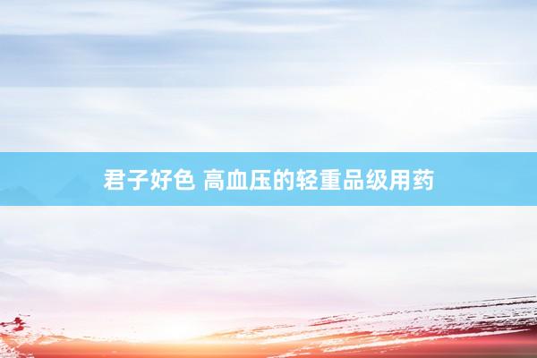君子好色 高血压的轻重品级用药