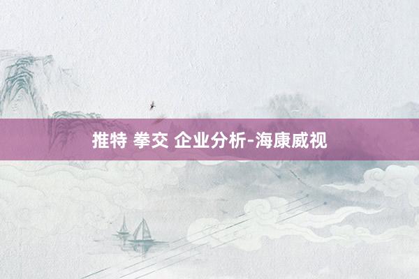 推特 拳交 企业分析-海康威视