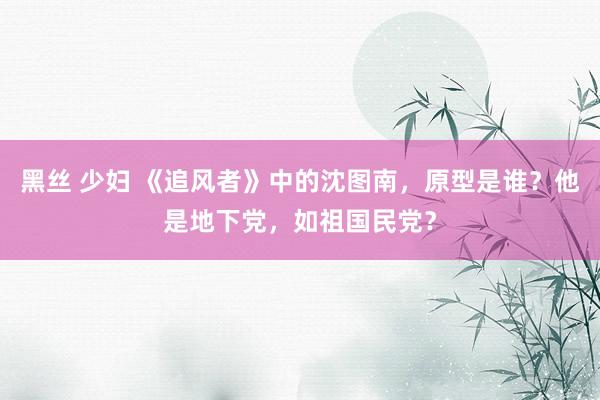黑丝 少妇 《追风者》中的沈图南,原型是谁?他是地下党,如祖国民党?