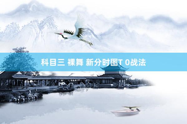 科目三 裸舞 新分时图T 0战法