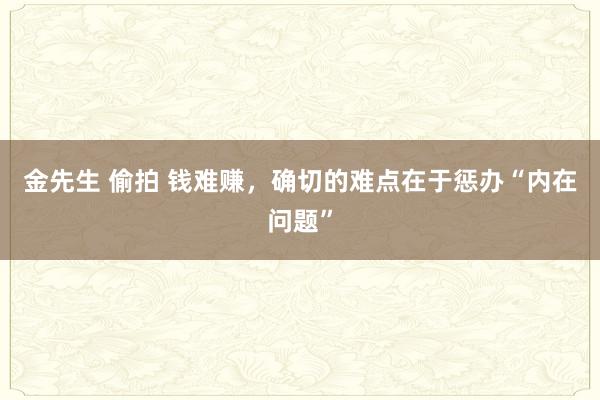 金先生 偷拍 钱难赚,确切的难点在于惩办“内在问题”