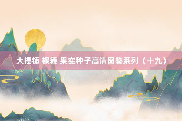 大摆锤 裸舞 果实种子高清图鉴系列(十九)